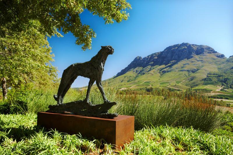 Delaire Graff Lodges And Spa Stellenbosch Exterior foto